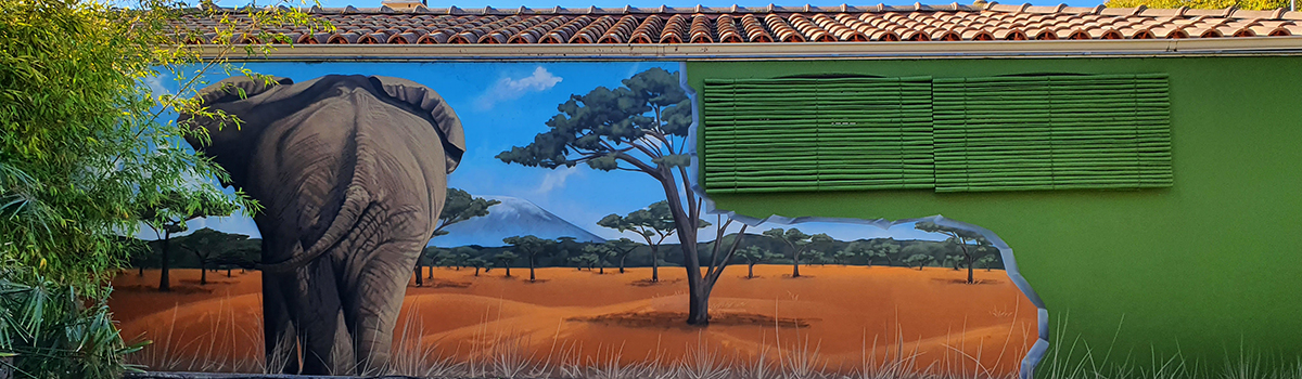 Fresque graffiti Afrique